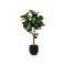 Designplants/Luca Lifestyle Lyrata Y kunstboom (h:170cm) met Grigio Balloon bloempot