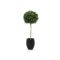 Designplants/Luca Lifestyle Buxus bol kunstboom (h:110cm) met Grigio Tall Balloon bloempot