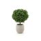 Designplants/Luca Lifestyle Buxus bol kunstplant (h:50cm) met Grigio Balloon bloempot
