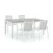 R&S Design Altea/Fidenza 183cm dining tuinset 5-delig stapelbaar