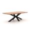 Bellagio Induno Deens Ovaal dining tuintafel 240x120cm