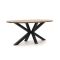 ROUGH-Y Ellips high dining tuintafel 240x120cm