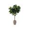 Designplants/Luca Lifestyle Lyrata Y kunstboom (h:220cm) met Terreno Tall Balloon bloempot