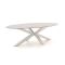 Bellagio Induno Ellips dining tuintafel 280x130cm