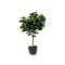 Designplants/Luca Lifestyle Lyrata Y kunstboom (h:220cm) met Ruvido Organic bloempot