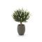 Designplants/Luca Lifestyle Lavendel bol kunstplant (h:60cm) met Bordo Tall Balloon bloempot