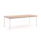 Apple Bee Milou dining tuintafel 240x100x76cm