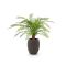 Designplants/Luca Lifestyle Alsophillia varen kunstplant (h:80cm) met Terreno Tall Balloon bloempot