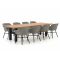 Hartman Delphine/Yasmani 300cm dining tuinset 9-delig