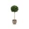 Designplants/Luca Lifestyle Buxus bol kunstboom (h:110cm) met Terreno New Egg bloempot - Groen (UV bestendig) (bloempot = Sand)