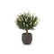 Designplants/Luca Lifestyle Lavendel bol kunstplant (h:60cm) met Terreno Balloon bloempot - Wit (UV bestendig) (bloempot = Ash Brown)
