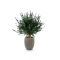 Designplants/Luca Lifestyle Lavendel bol kunstplant (h:60cm) met Grigio Tall Balloon bloempot