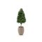 Designplants/Luca Lifestyle Buxus tower kunstplant (h:110cm) met Bordo Tall Balloon bloempot