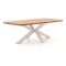Bellagio Induno Deens Ovaal dining tuintafel 220x110cm
