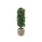 Designplants/Luca Lifestyle Laurier kolom kunstplant (h:125cm) met Ruvido Combi bloempot - Groen (UV bestendig) (bloempot = Sand)